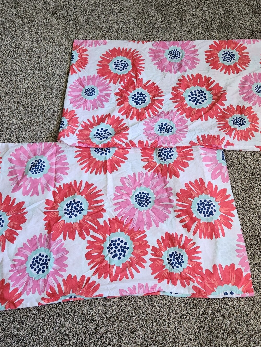 Pottery Barn Teen Standard Pillowcases Set of 2 Pink Floral Cotton Blend 20x30